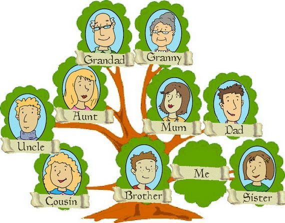 افضل ٣ تطبيقات آيفون لبناء شجرة العائلة
